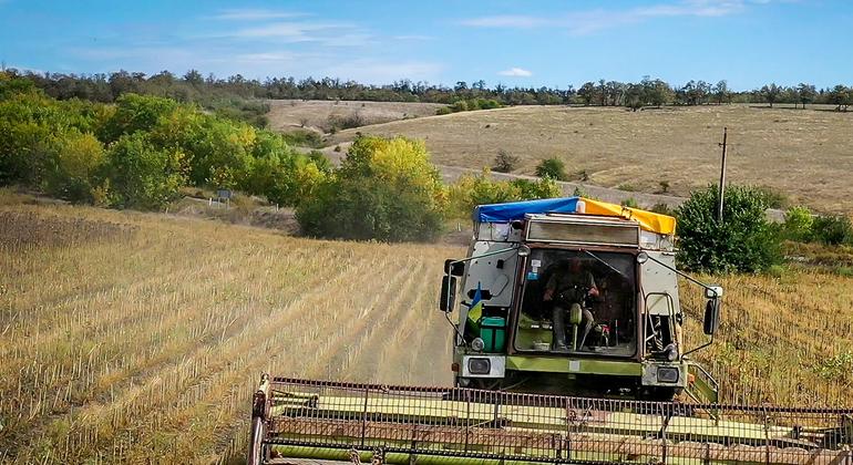 Поддержка фермеров и сельских семей – это не только вопрос продовольственной безопасности, но и фундамент для будущего восстановления украинских общин.